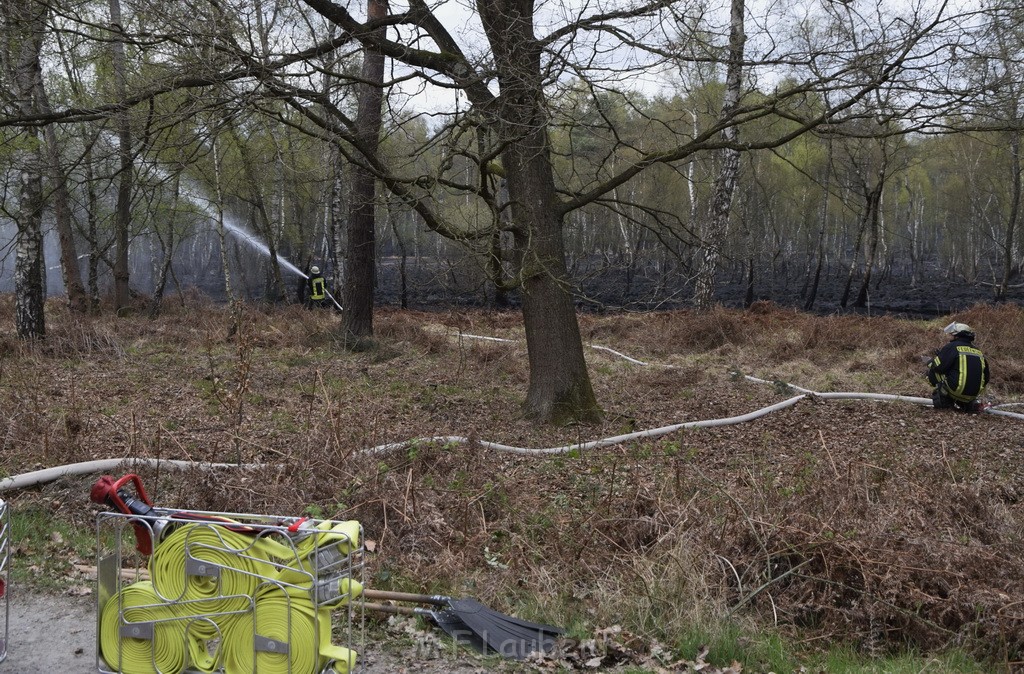 Waldbrand Wahner Heide Troisdorf Eisenweg P105.JPG - Miklos Laubert